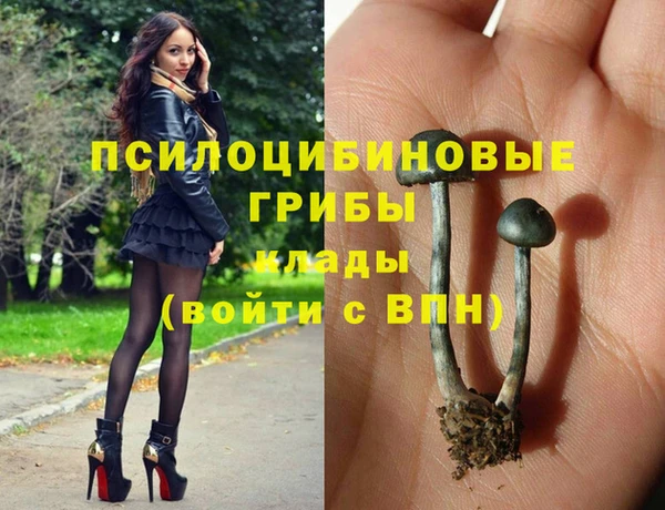 амф Бронницы