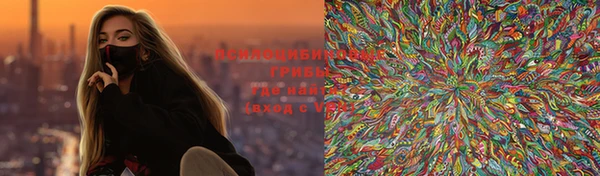 первитин Богданович